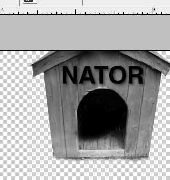 Creation of My Dog's Name: Step 3